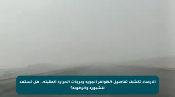 الأرصاد تكشف تفاصيل الظواهر الجوية ودرجات الحرارة المقبلة.. هل تستعد للشبورة والرطوبة؟